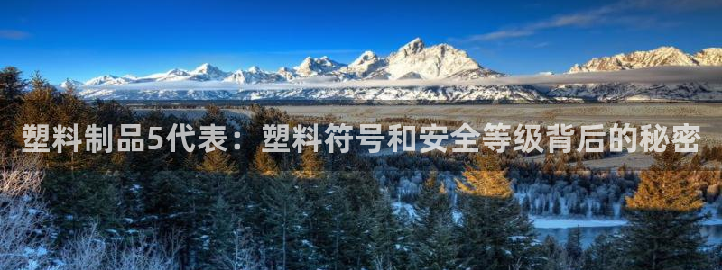 古天乐太阳集团城app：塑料制品5代表：塑料符号和安全等级背