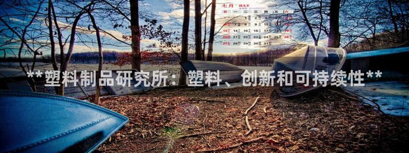 太阳集团城安卓版游戏：**塑料制品研究所：塑料、创新和可持续