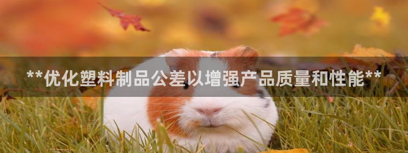 太阳诚集团有限公司：**优化塑料制品公差以增强产品质量和性能