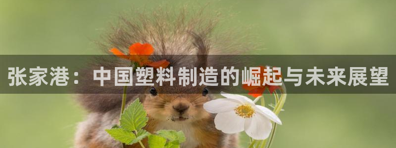 太阳gg官网登录：张家港：中国塑料制造的崛起与未来展望