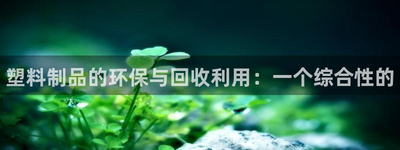 太阳集团是一家什么公司：塑料制品的环保与回收利用：一个综合性