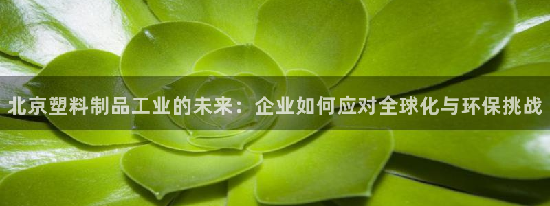 电子游戏太阳神官方网站：北京塑料制品工业的未来：企业如何应对