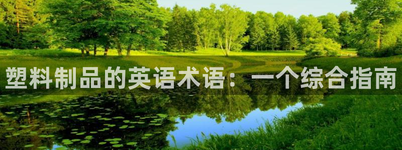 122cc太阳集成游戏官方网站版：塑料制品的英语术语：一个综