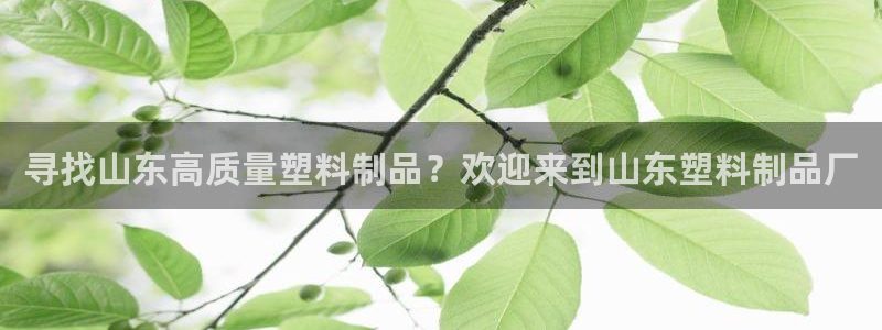 太阳集团城网址娱网：寻找山东高质量塑料制品？欢迎来到山东塑料