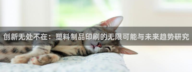 太阳商城贵宾会2017cm：创新无处不在：塑料制品印刷的无限