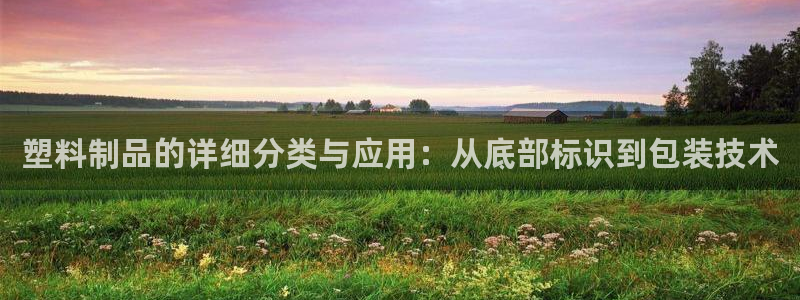 太阳诚集团有限公司有多少人：塑料制品的详细分类与应用：从底部