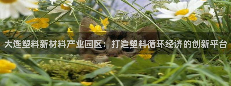 太阳app怎么下载：大连塑料新材料产业园区：打造塑料循环经济