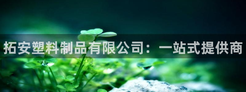 太阳app官网下载入口：拓安塑料制品有限公司：一站式提供商