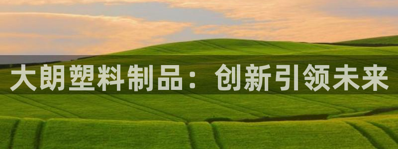 太阳集团网站1088vip：大朗塑料制品：创新引领未来