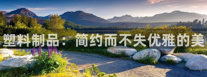 太阳集团手机app下载：塑料制品：简约而不失优雅的美