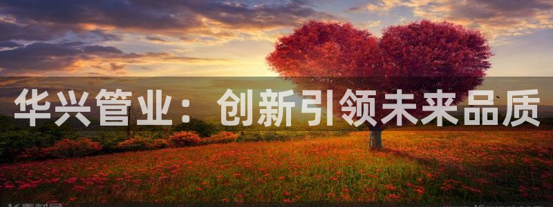 太阳集团游戏App：华兴管业：创新引领未来品质