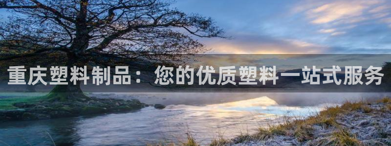 太阳成集团网址 app：重庆塑料制品：您的优质塑料一站式服务