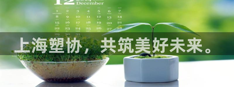 太阳集团娱乐场：上海塑协，共筑美好未来。