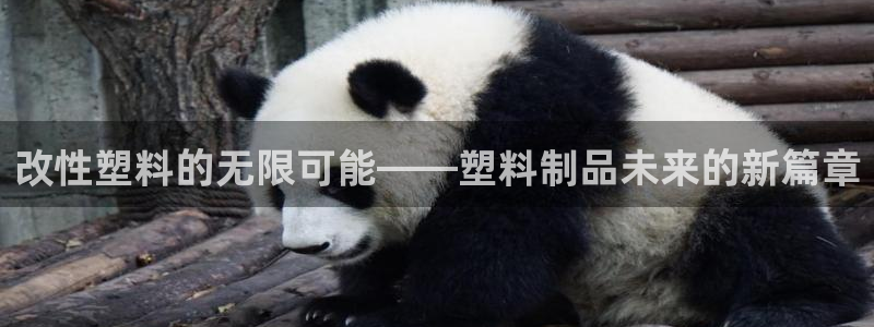 2007so太阳集团下载：改性塑料的无限可能——塑料制品未来