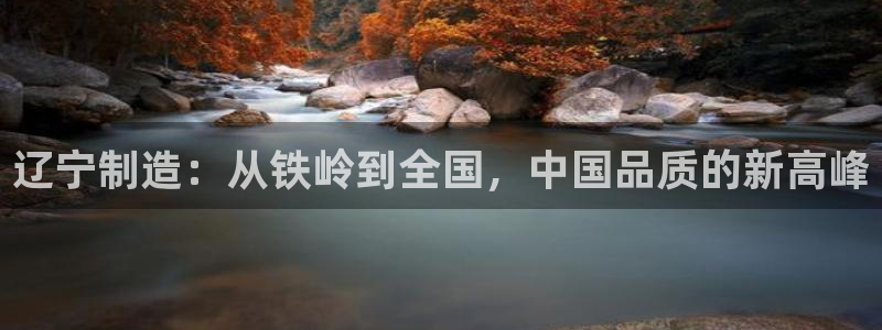 太阳诚集团有限公司是国企吗还是私企：辽宁制造：从铁岭到全国，