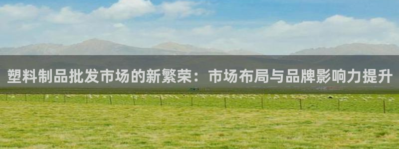 太阳集团电子游戏官方版：塑料制品批发市场的新繁荣：市场布局与