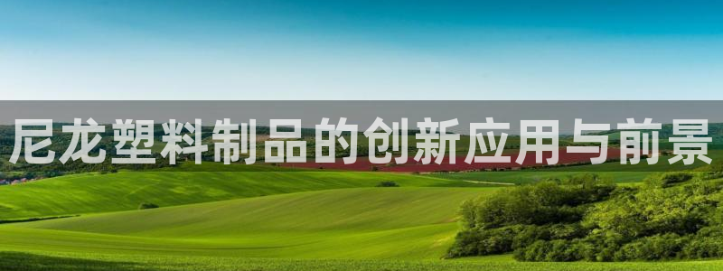 太阳成集团是干嘛的：尼龙塑料制品的创新应用与前景