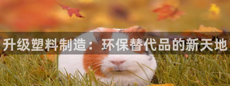 古天乐和太阳集团什么关系：升级塑料制造：环保替代品的新天地