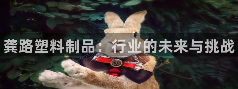 太阳集团电子游戏大全：龚路塑料制品：行业的未来与挑战