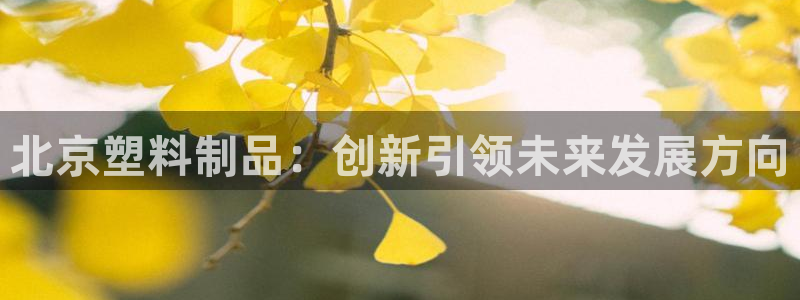 太阳集团app十佳平台是什么：北京塑料制品：创新引领未来发展