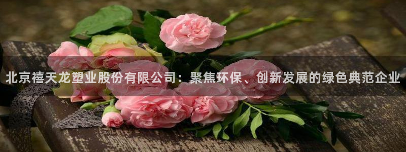 太阳集团电子游戏有限公司：北京禧天龙塑业股份有限公司：聚焦环