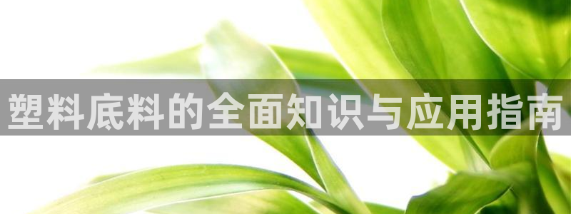 太阳集团娱乐所有网站app游戏优势：塑料底料的全面知识与应用