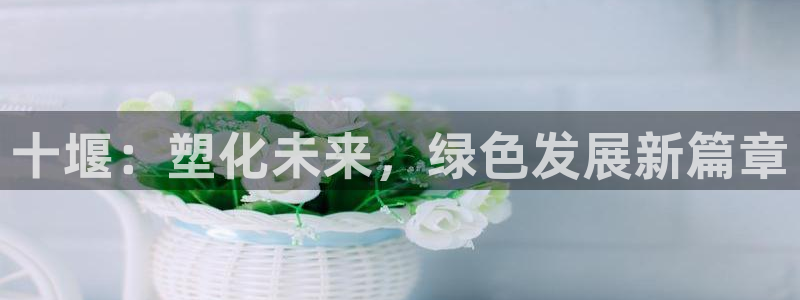 太阳集团网站入口官网：十堰：塑化未来，绿色发展新篇章