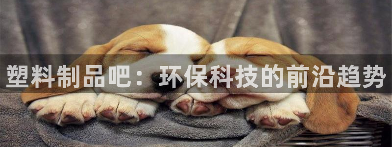 2003网站太阳集团：塑料制品吧：环保科技的前沿趋势