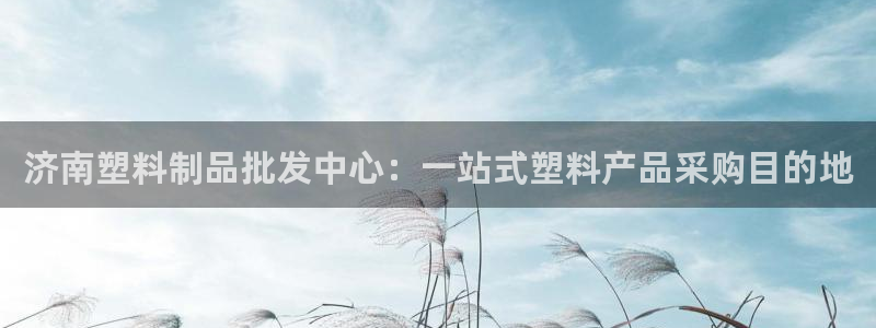 太阳诚集团有限公司是国企吗：济南塑料制品批发中心：一站式塑料